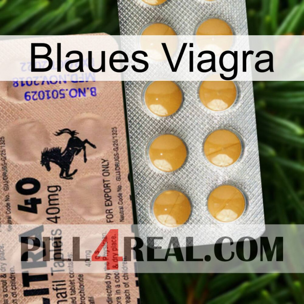 Blaue Viagra 41